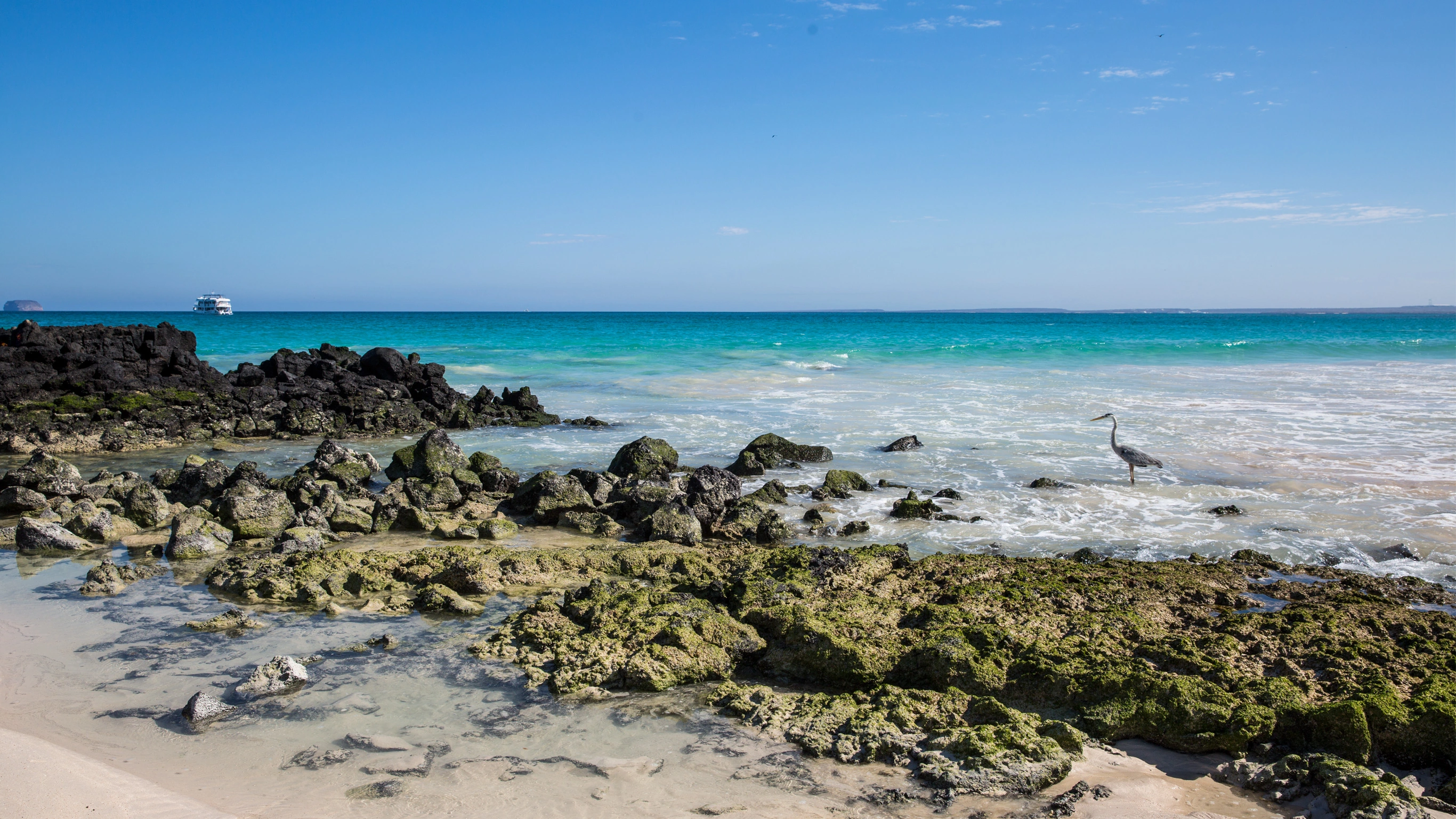 Galápagos Island Hopping