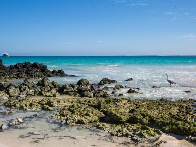 Galápagos Island Hopping