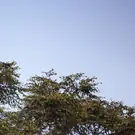 5a02df8a7ed41acba273bfd68472c37f.jpg