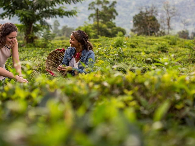 India to Sri Lanka: The Pink City & Spice Gardens