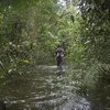 Inland & Amazon