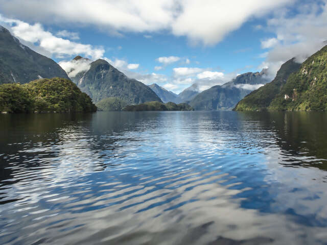 New Zealand Journey