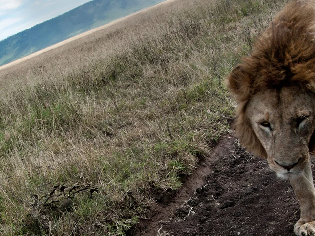 Tanzania to Zanzibar: White Sands & the Wilderness