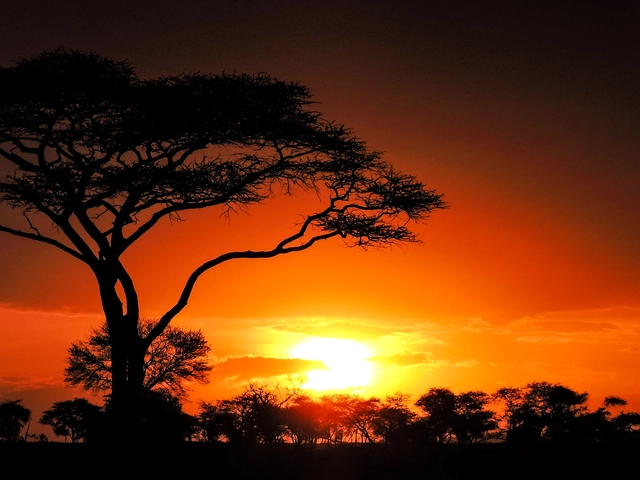 Nairobi to Zanzibar: Serengeti & Sunsets