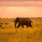 a4b408585e338a16a6d1e769b23d4a8e.jpg