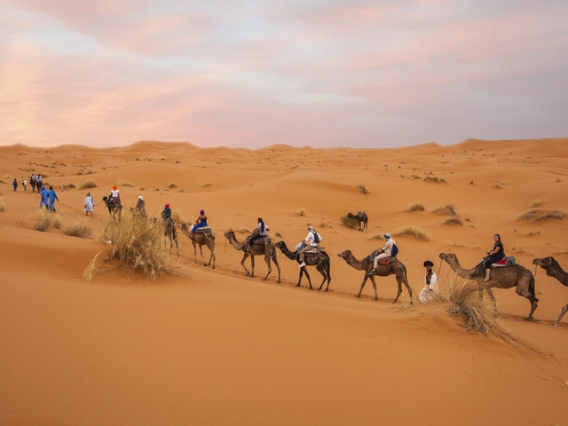 Moroccan Desert Adventure: River Canyons & Camels