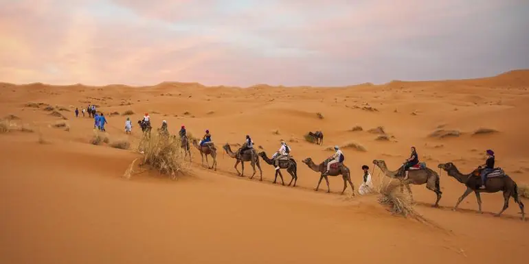 Moroccan Desert Adventure: River Canyons & Camels