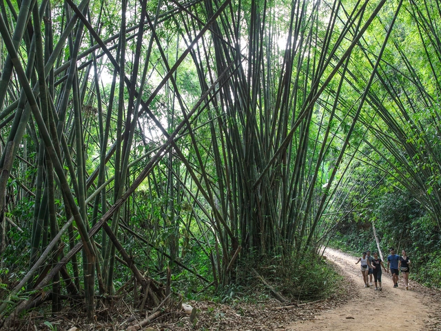 Laos to Northern Thailand: Treks & Trails