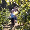Costa Rica Family Journey: From Rainforest to Coast