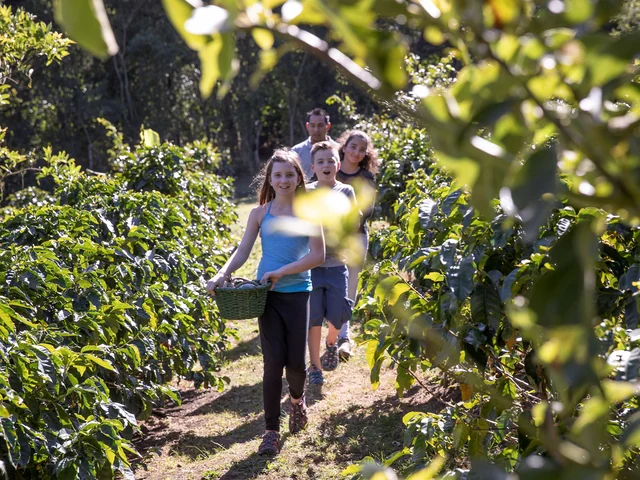 Costa Rica Family Journey: From Rainforest to Coast