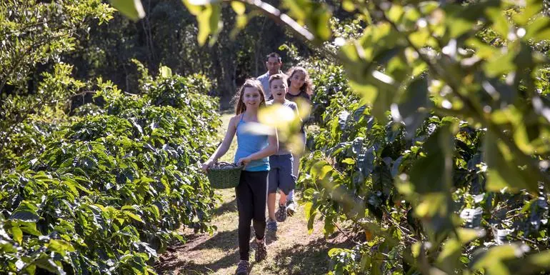 Costa Rica Family Journey: From Rainforest to Coast