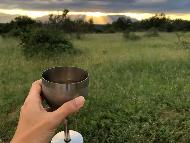 Cape Town Day Tour: South African Wine (full day)