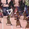 Naadam Festival Mini Adventure