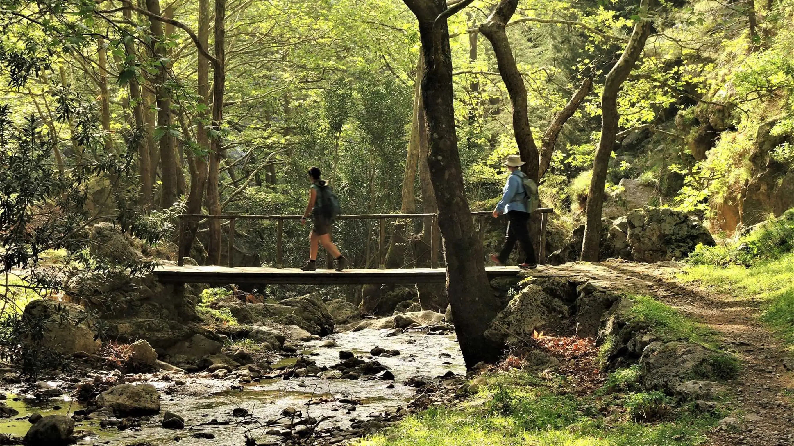 Hiking Crete: Gorges & Coastal Walks