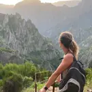 e1d16394f52841fe21f74a2ffaf3ce41.jpg