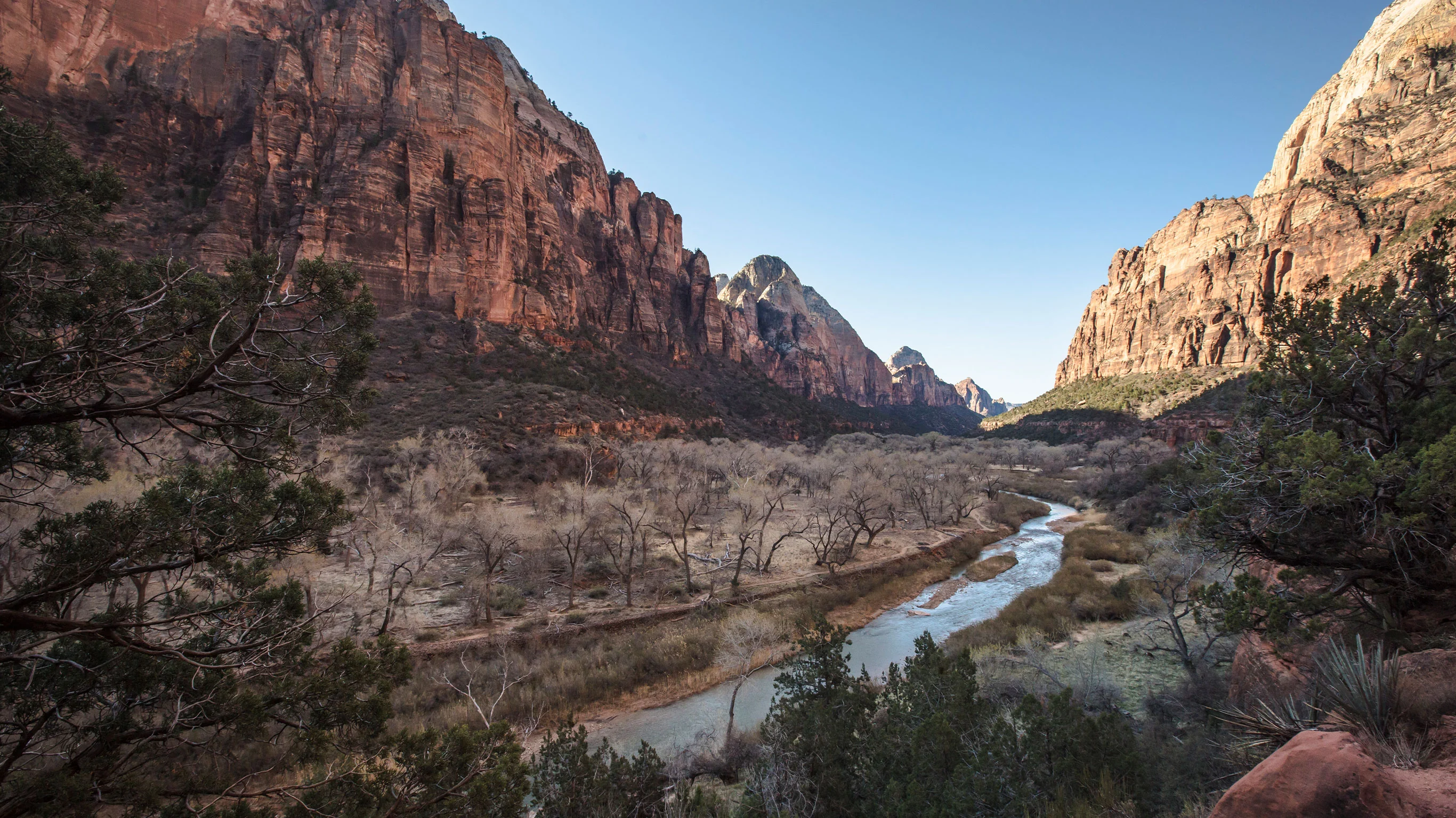 USA National Parks Explorer