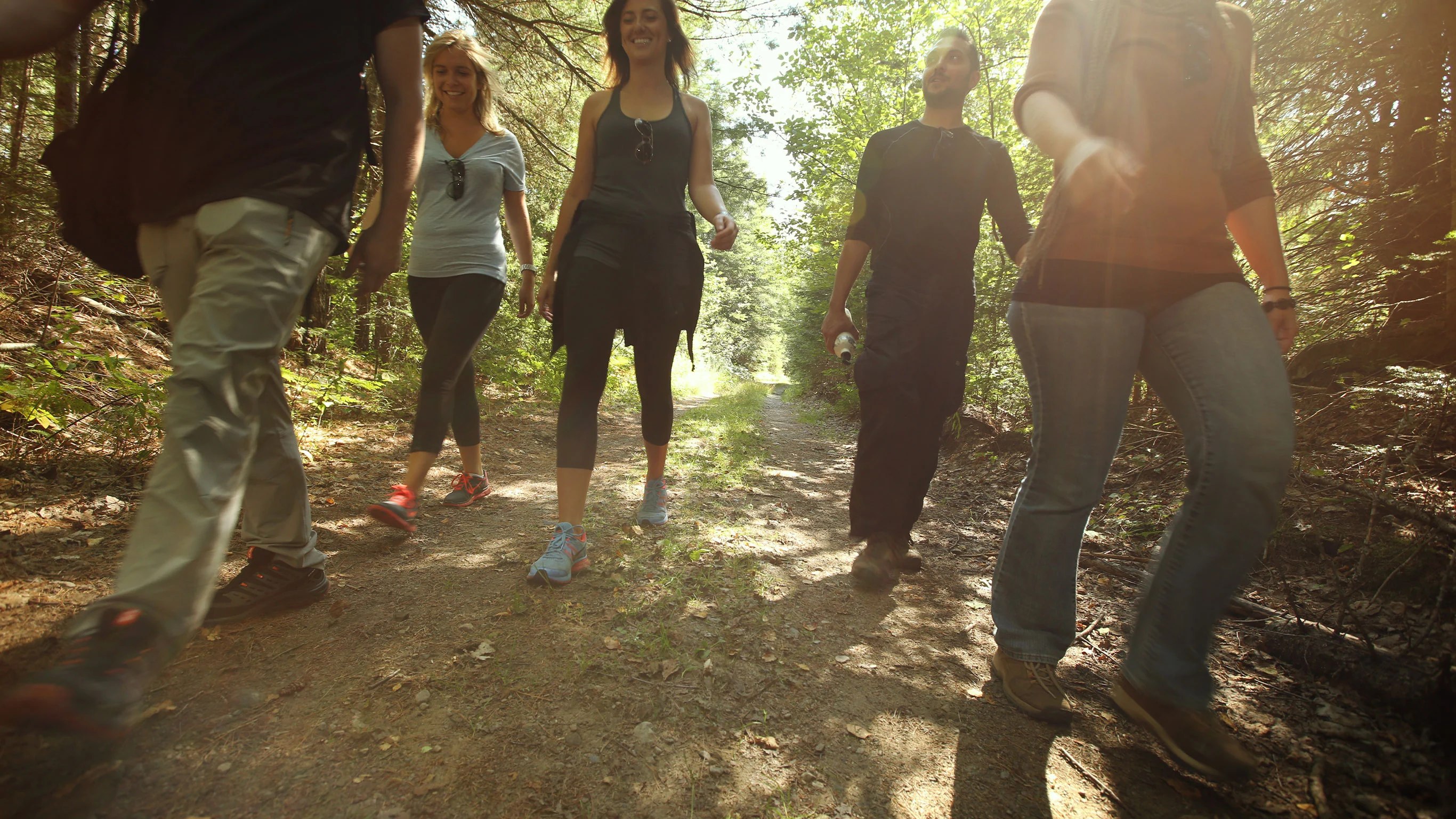 Hike Alaska: Glaciers and Denali