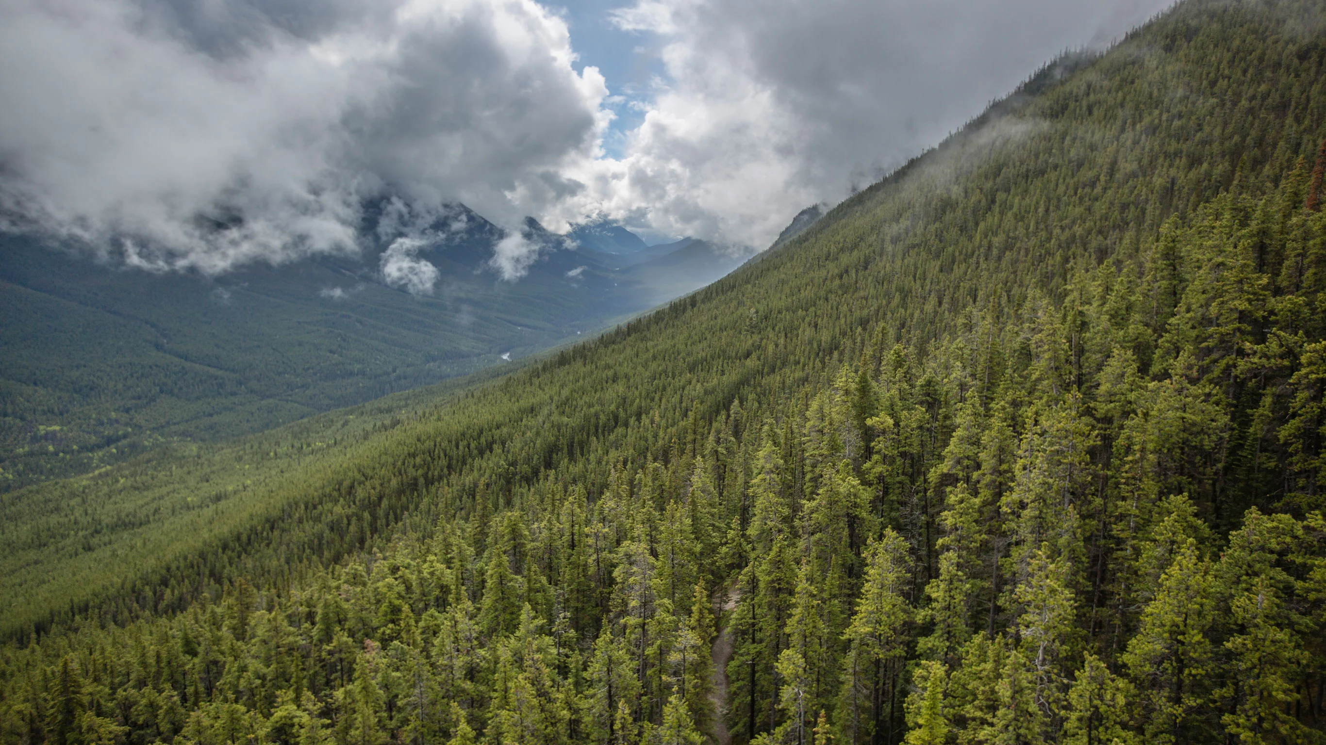 Active West Coast & Canadian Rockies