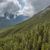 Active West Coast & Canadian Rockies