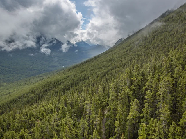 Active West Coast & Canadian Rockies