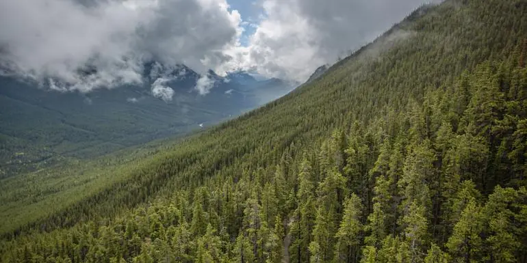 Active West Coast & Canadian Rockies