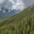 1843f26e67ea86d96175a713072e885c.jpg