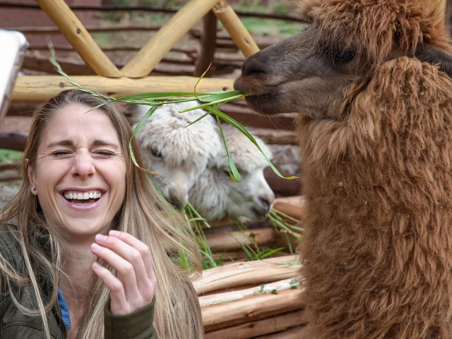 Inca Adventure: Cusco, Machu Picchu & the Best Views Ever