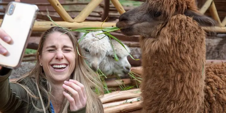 Inca Adventure: Cusco, Machu Picchu & the Best Views Ever