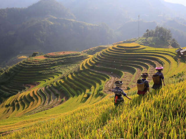 North & Central Vietnam: Hanoi, Hoi An & Countryside Adventures