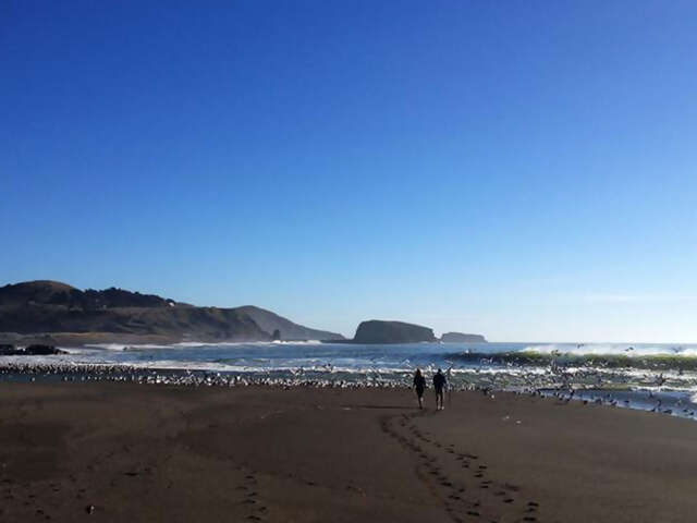 USA Road Trip- The Best of Cali