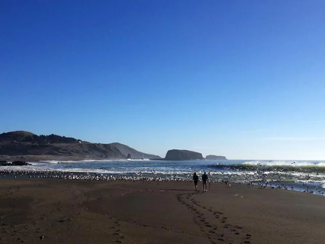 USA Road Trip- The Best of Cali