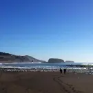 27e38d617f6b933bf3dee02f9863ee60.jpg