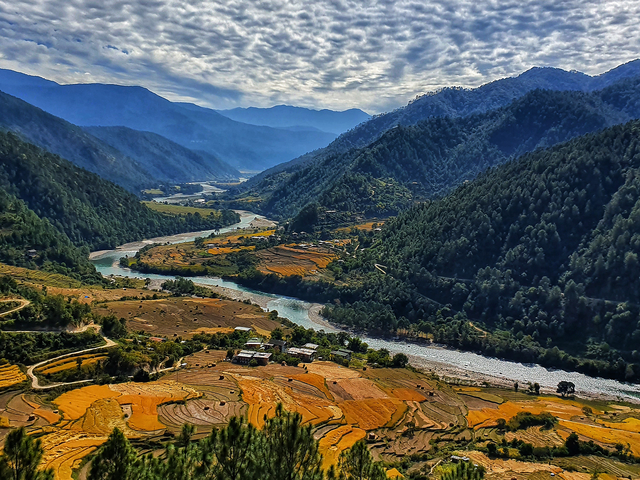 Camp the Trans Bhutan Trail