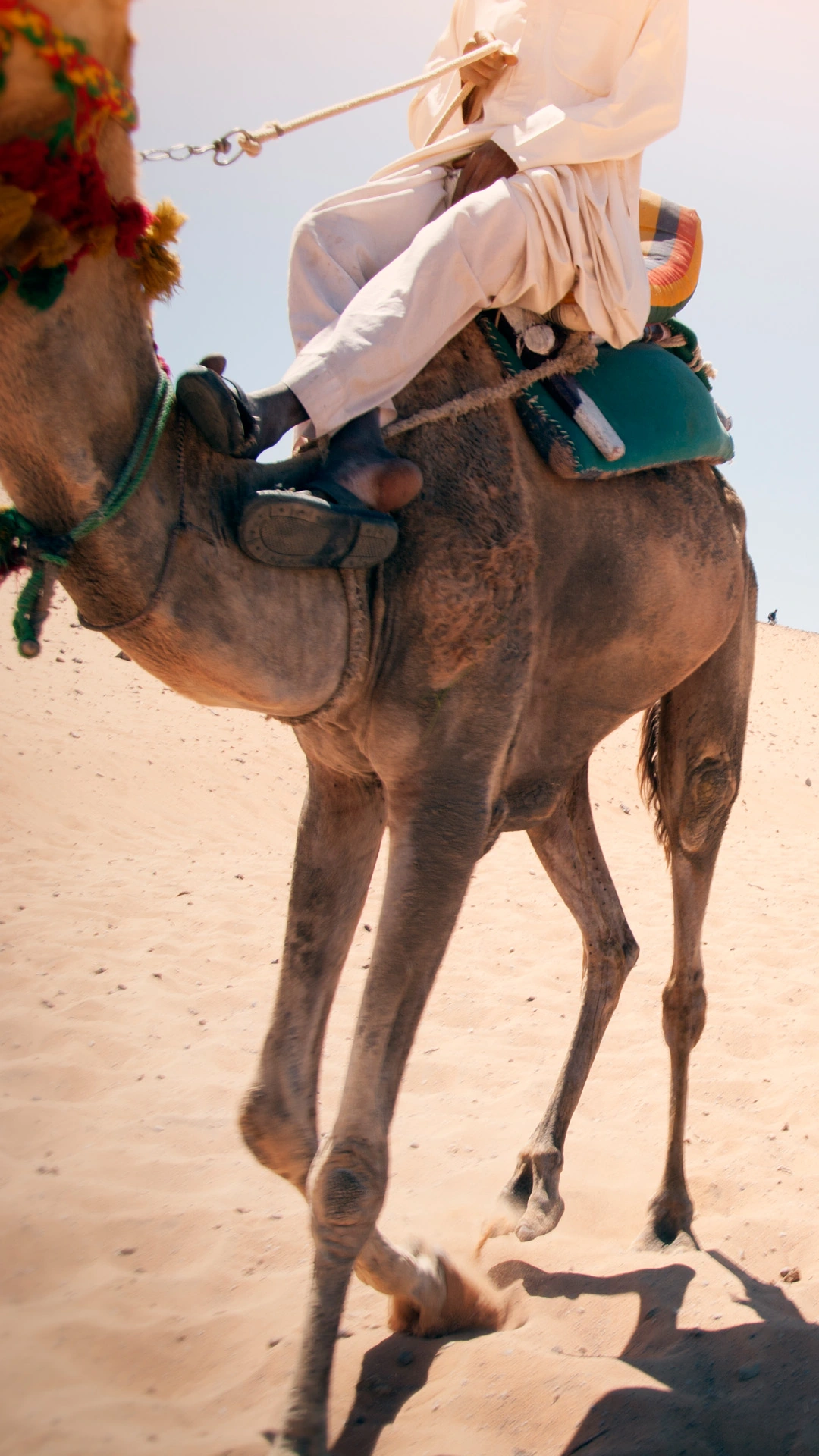 Wonders of Egypt and the Nile