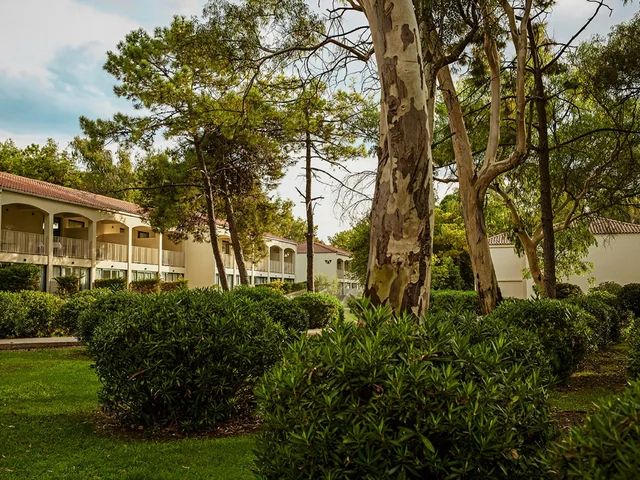 Domes Aulus Zante, Autograph Collection