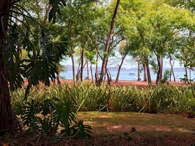 El Mangroove, Autograph Collection