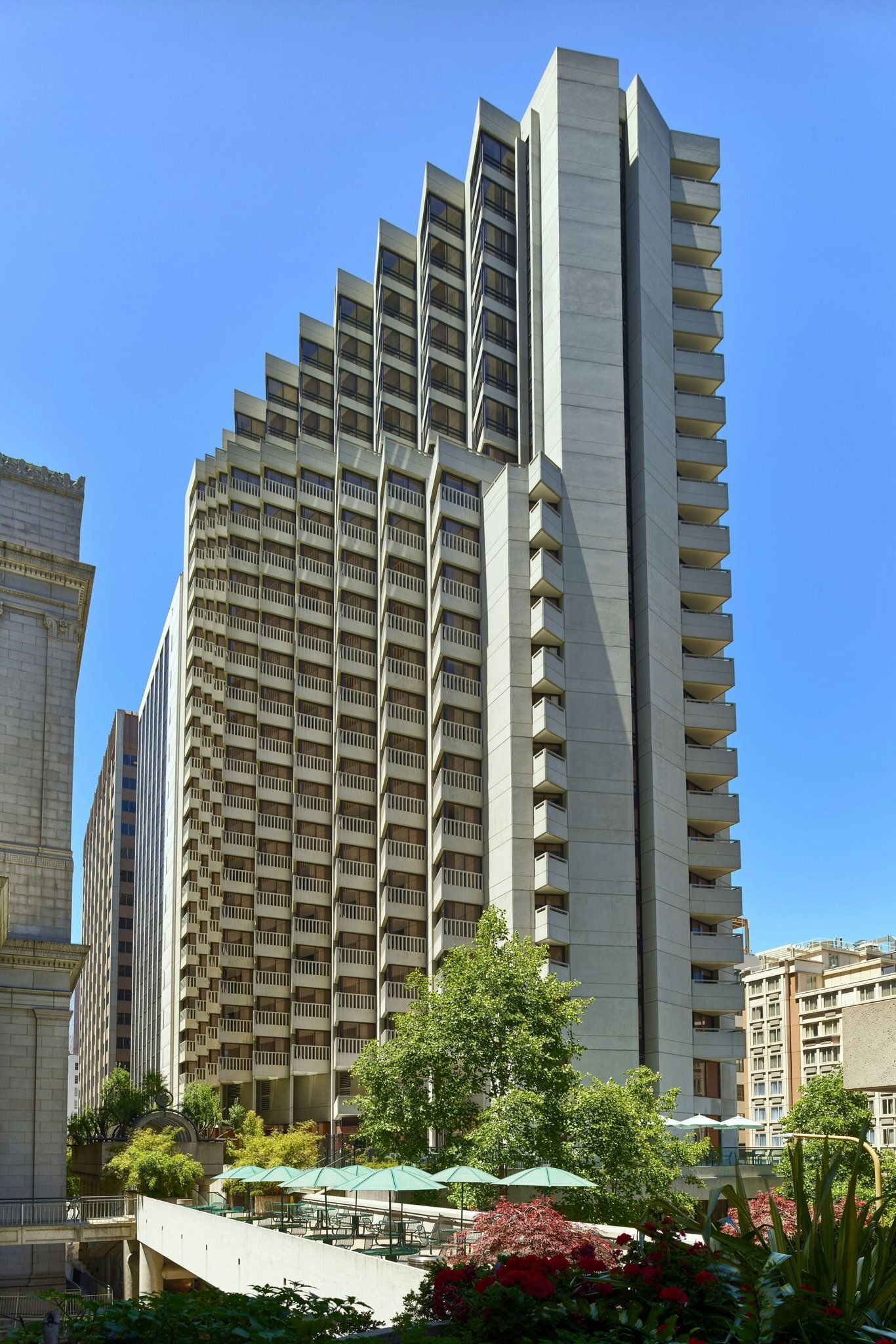 The Jay, Autograph Collection