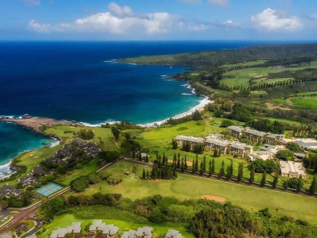 The Ritz-Carlton Maui, Kapalua