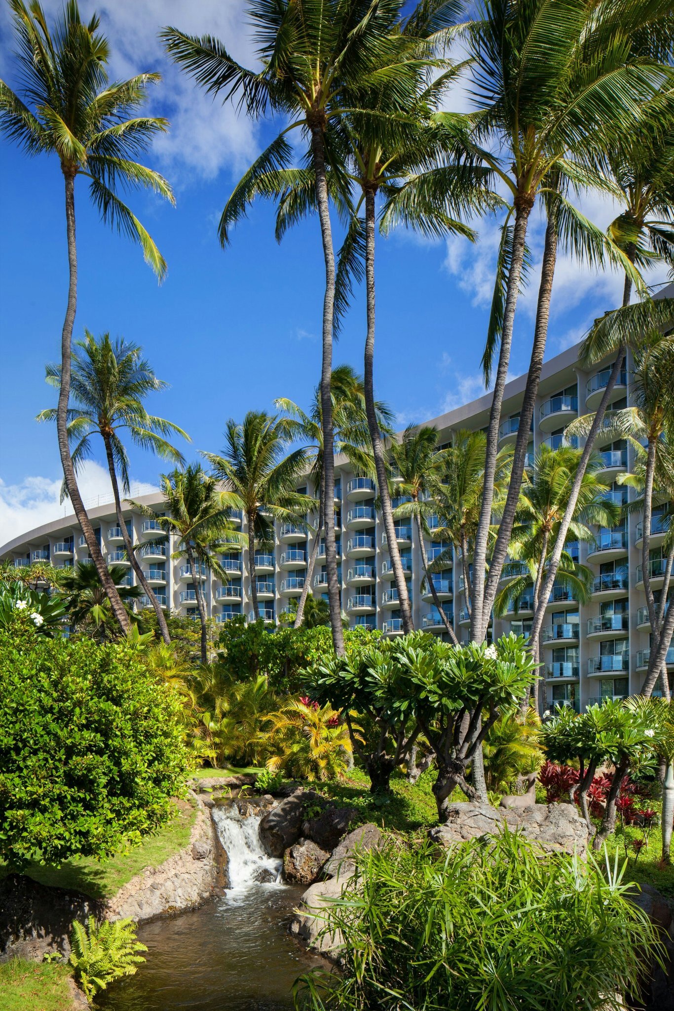 The Westin Maui Resort & Spa, Ka'anapali