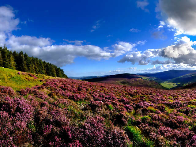 2025 Irish Spirit Self-Drive - 8 Days/7 Nights