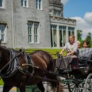 HorseCarriage_IrishGold_Featured.png