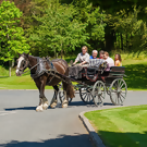 HorseCarriage_BestofSouthIreland_Featured_W.png