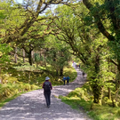 Killarney%20National%20Park.png