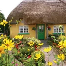 TI-AdareCottage-Brian%20Morrison-65.jpeg