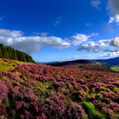 CP-Wicklow-Mountains-2.jpeg