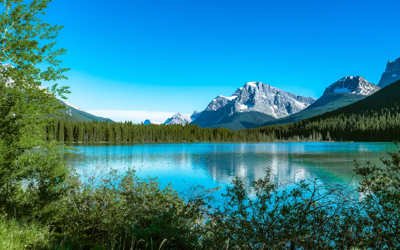 Canadian Rockies by Train
