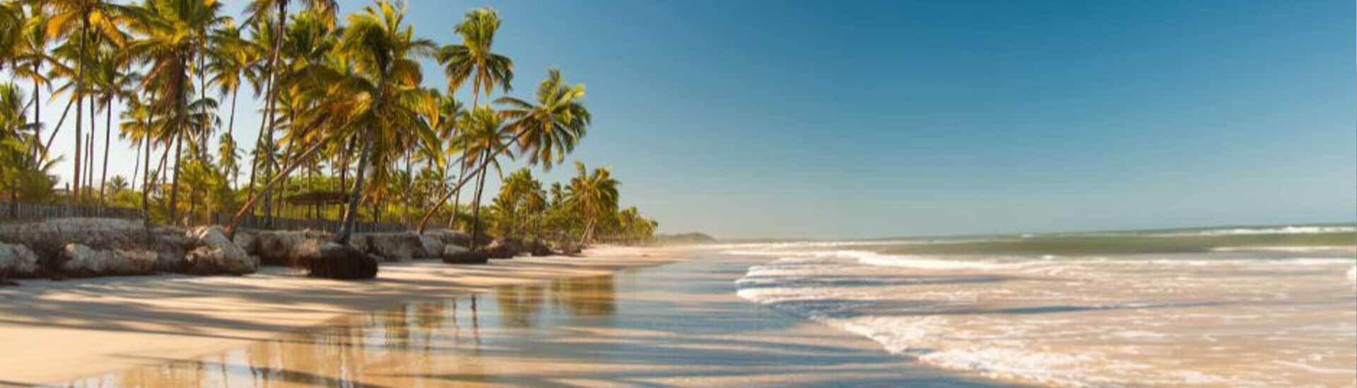 Where Your Story Takes Off