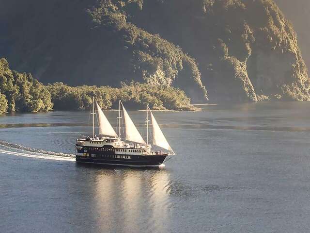 Find Your 100% in New Zealand