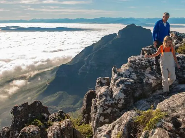 South Africa: Kruger Wildlife Tracking & Vineyards