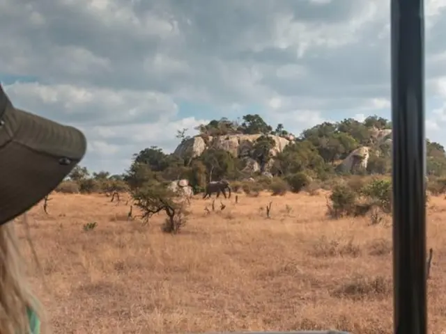 Southern Africa: National Parks of Zimbabwe & Kruger Wildlife Tracking